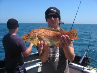 5 lb 4 oz Ballan Wrasse by Simon