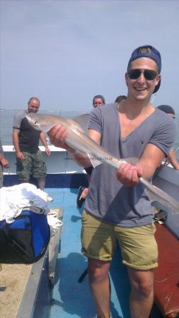 3 lb 3 oz Starry Smooth-hound by john