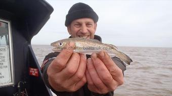 1 oz Whiting by mark crame