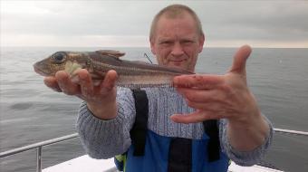 1 lb 2 oz Grey Gurnard by shaggy from hull