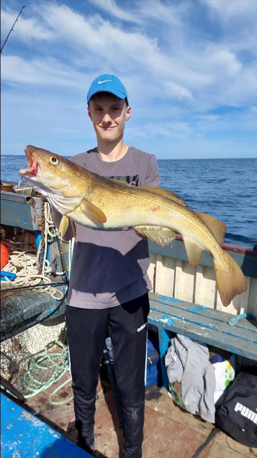 12 lb 4 oz Cod by Unknown