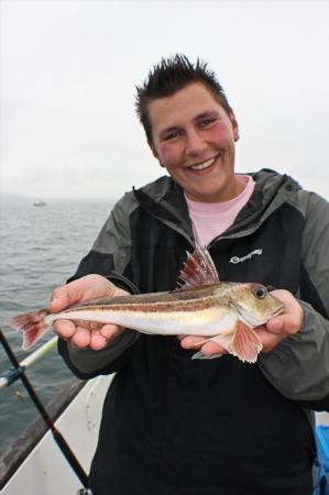 1 lb Grey Gurnard by Joy