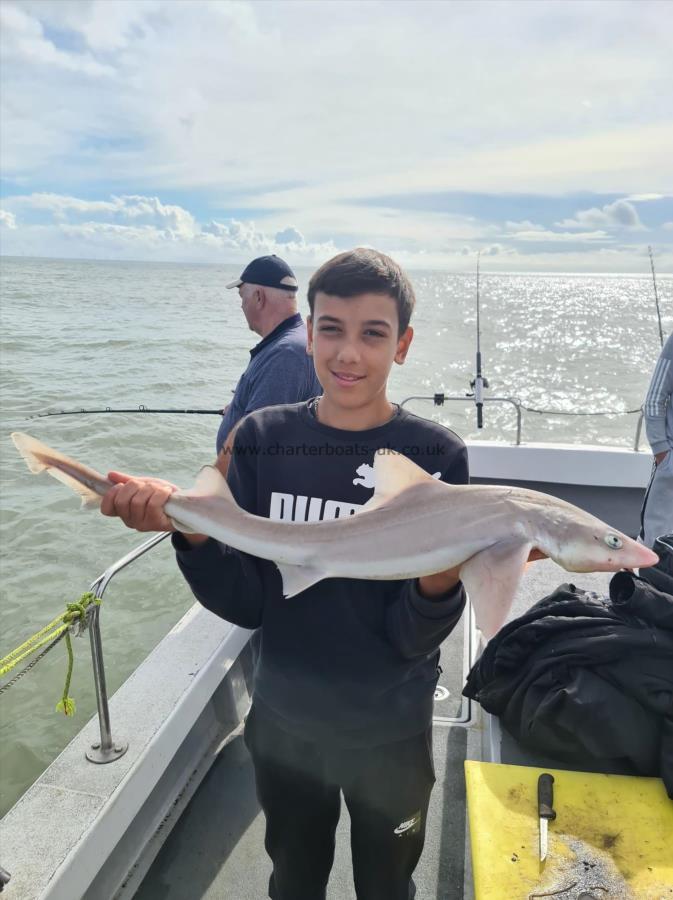 7 lb Smooth-hound (Common) by Joe