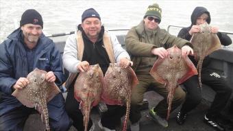 9 lb Thornback Ray by individual day