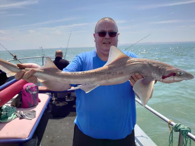 10 lb 2 oz Smooth-hound by Nigel