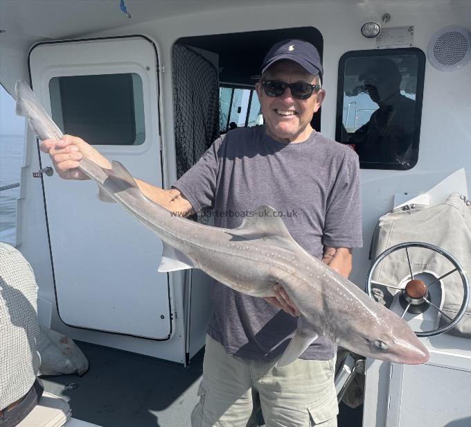 13 lb 8 oz Starry Smooth-hound by Unknown