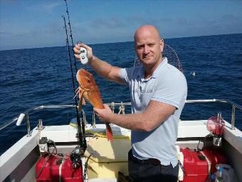 3 lb 14 oz Tub Gurnard by unknown