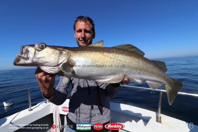 7 lb Pollock by Mark