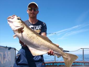 11 lb 2 oz Pollock by Unknown