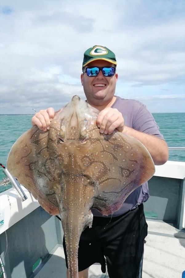 8 lb Undulate Ray by Dan