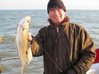 2 lb Whiting by ian
