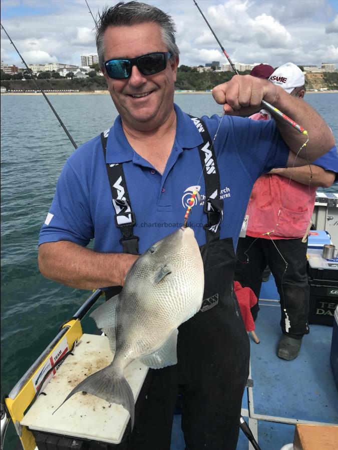 3 lb 1 oz Trigger Fish by Rich