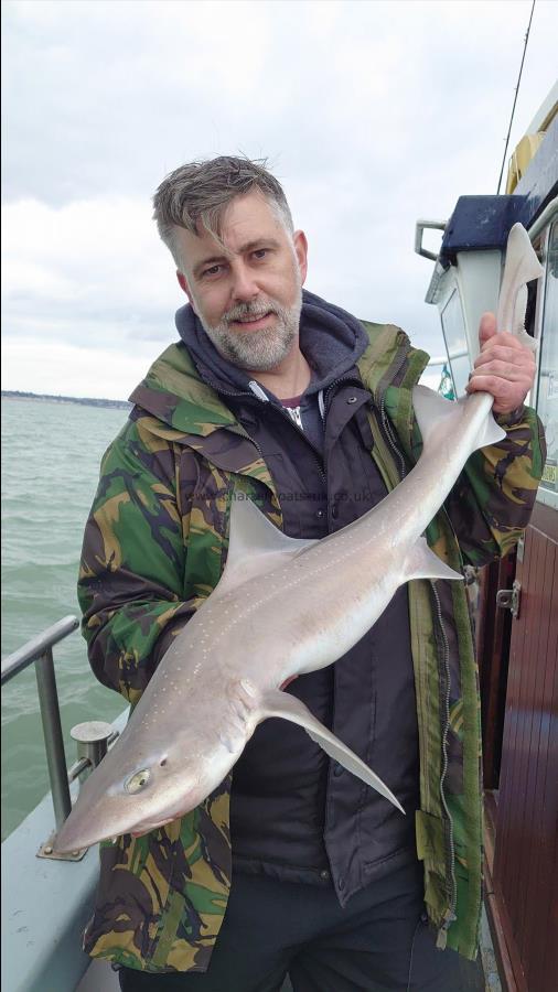 5 lb Starry Smooth-hound by Paul's party