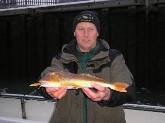 1 lb 8 oz Red Gurnard by Brian