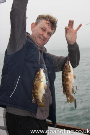 2 lb Ballan Wrasse by Mr Stearman