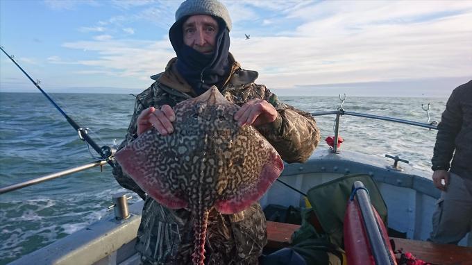 8 lb 4 oz Thornback Ray by Unknown