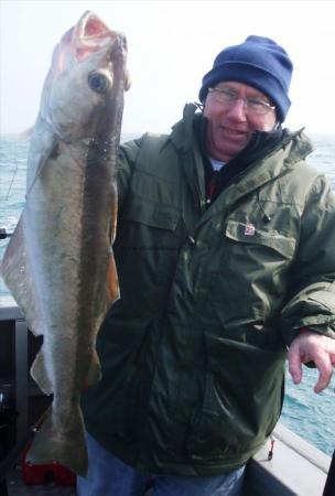 15 lb 3 oz Pollock by Jonny Grummet