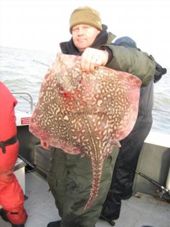 14 lb 10 oz Thornback Ray by Terry Wiskin