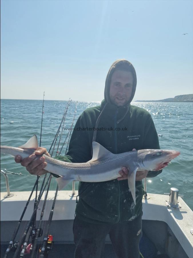 9 lb Smooth-hound (Common) by Ian