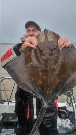 13 lb Blonde Ray by dave marsh