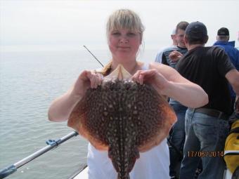 4 lb Thornback Ray by Anna