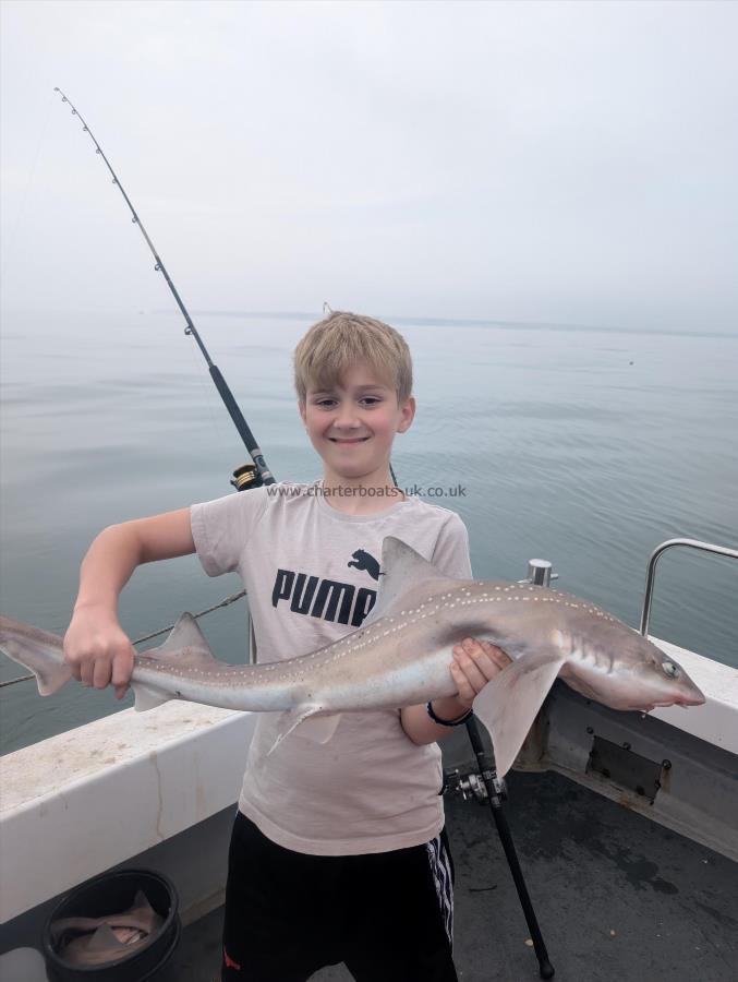 7 lb Smooth-hound by Young harry