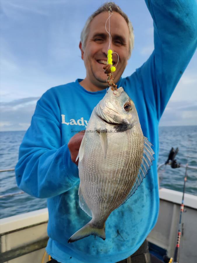 1 lb 6 oz Gilt-head Sea Bream by John