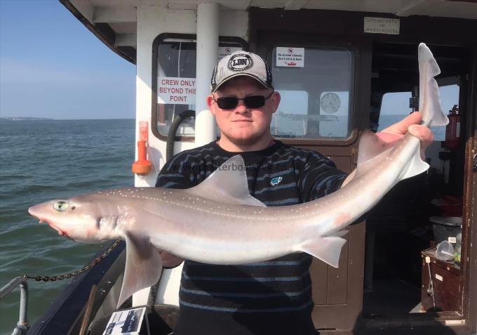 10 lb Smooth-hound by Unknown