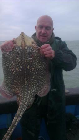 13 lb Thornback Ray by steve from gillingham