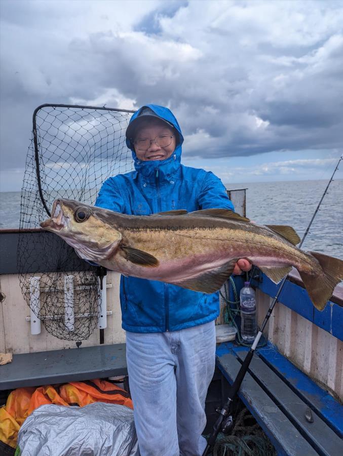 8 lb 2 oz Pollock by Unknown