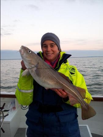 6 lb 2 oz Cod by Scott Belbin