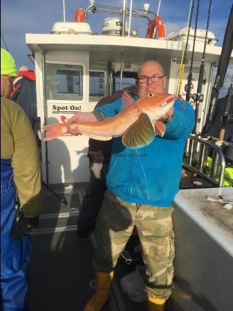 3 lb 10 oz Tub Gurnard by Jay