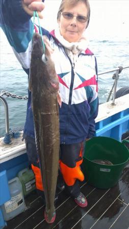 8 lb Ling (Common) by chrissie urry from hull