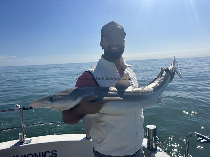 36 lb Tope by Mo