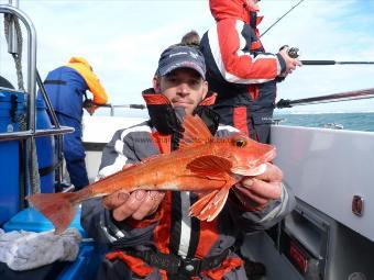 1 lb 10 oz Red Gurnard by Andy Hayden