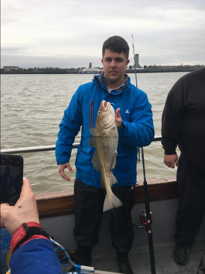 5 lb 5 oz Cod by Unknown