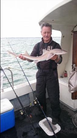 7 lb 8 oz Smooth-hound by Bob Marshall