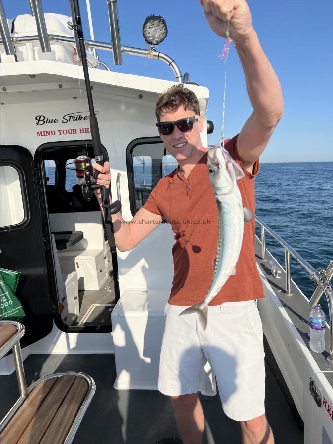 1 lb 4 oz Mackerel by Unknown