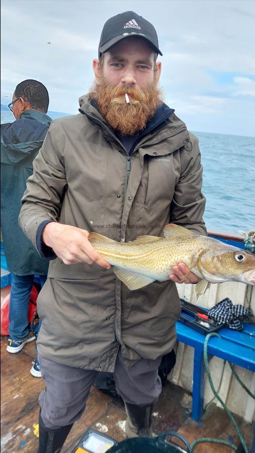 3 lb 3 oz Cod by Unknown