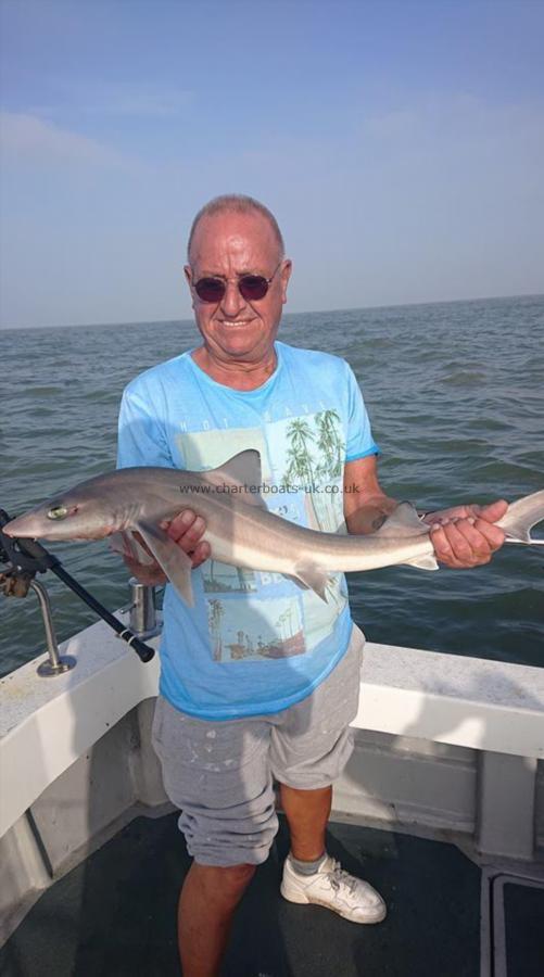 7 lb 5 oz Smooth-hound (Common) by Roger
