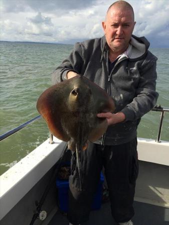 10 lb Stingray (Common) by Unknown