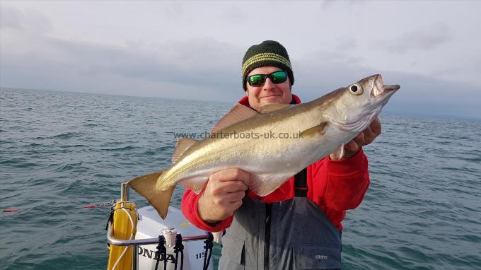 8 lb 4 oz Pollock by David