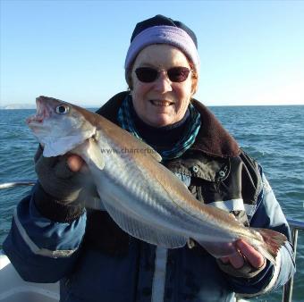 3 lb 1 oz Whiting by Denise Youngs