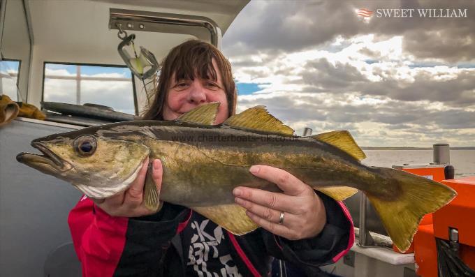 4 lb 11 oz Pollock by Andrea Louise