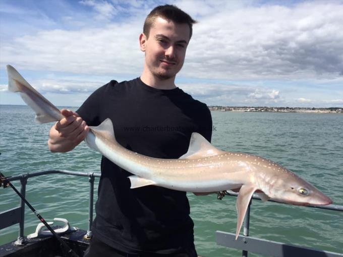 8 lb Smooth-hound (Common) by Unknown