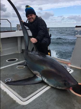 209 lb Thresher Shark by Mattew