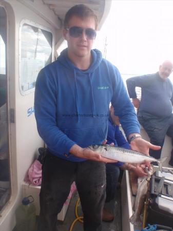 1 lb 14 oz Mackerel by Unknown