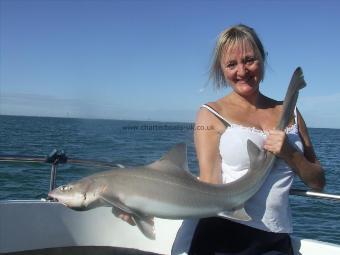 13 lb 7 oz Smooth-hound (Common) by carole gladman