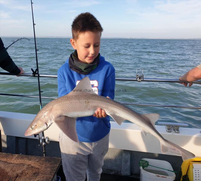 7 lb 8 oz Smooth-hound (Common) by Bob Marshall