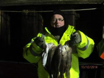 2 lb 5 oz Cod by Dave Mingay